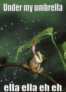 under-my-umbrella-ella-ella-eh-eh-frog